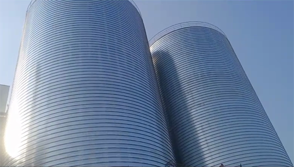 清镇2座混凝土高架卷板仓